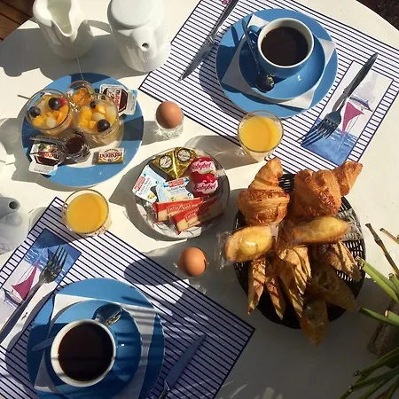 روز فندق نيس